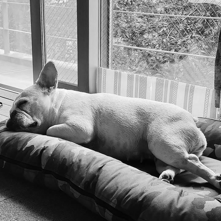 806e9080 bec8 4bfc 8e13 1ab024971a00 1661467437921