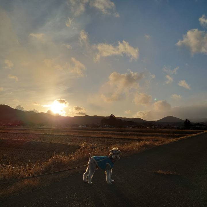 806ea507 a4b4 4657 a863 f52ba8d51796 1768894327004