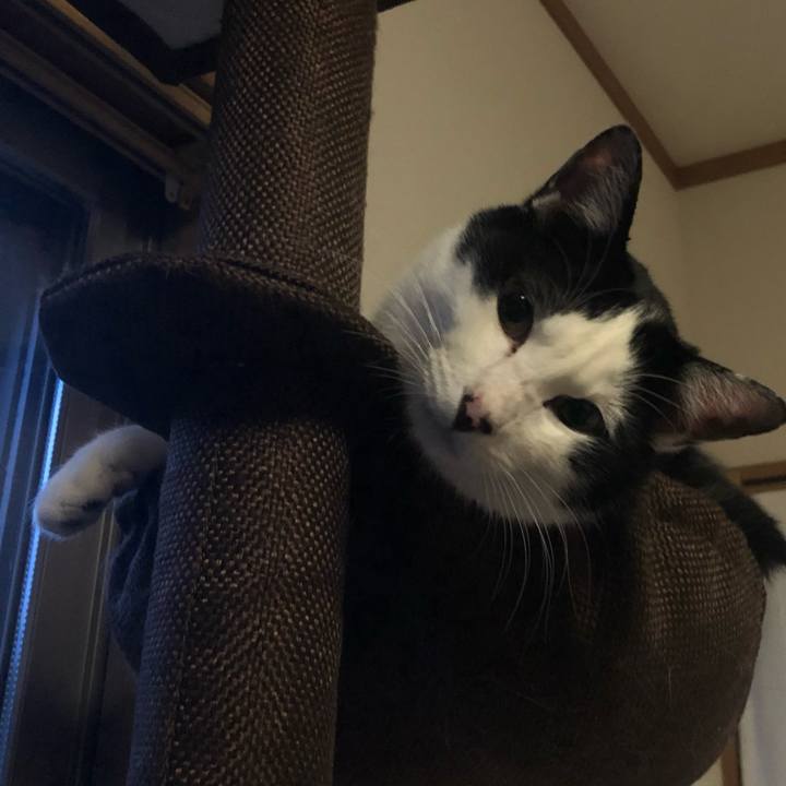 806f39e6 965d 4e59 83d4 94f8e31210f5 1557655688850