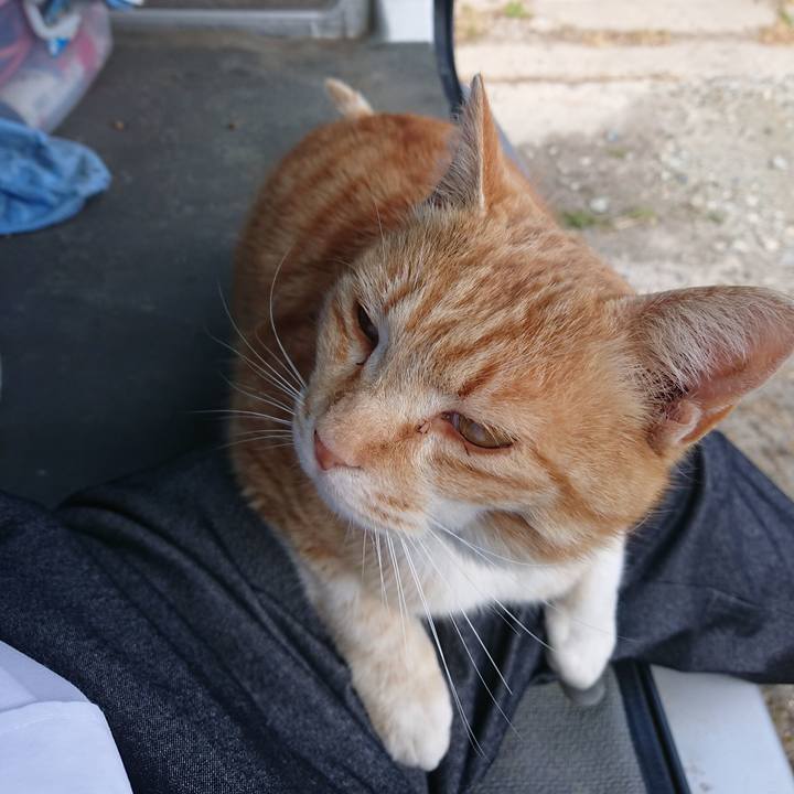 806f4900 0e41 4614 b88e cde07a5fcad4 1587013216601