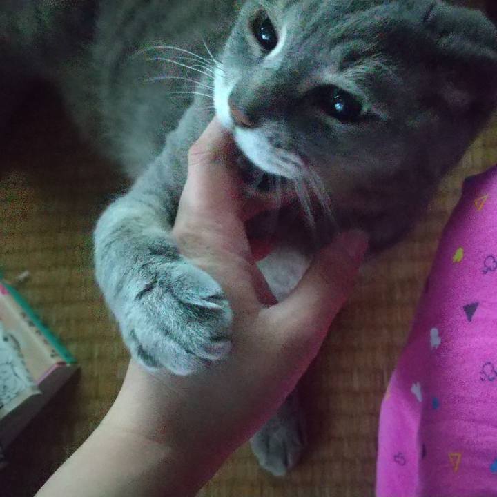 806f8727 b955 4036 a2bd f8b9b52a9fb5 1649926305565