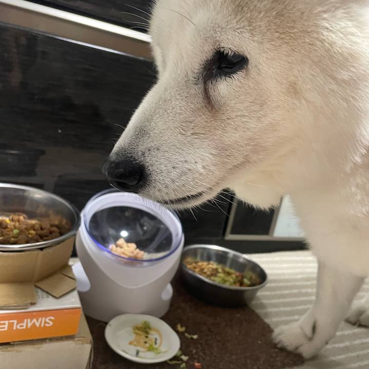 806fbfd8 6d8f 45d6 b561 a877f997f82a 1716989147754