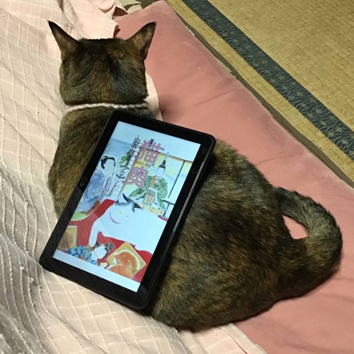 8070035a 8ee0 481d 9746 716a61077f07 1676979442214