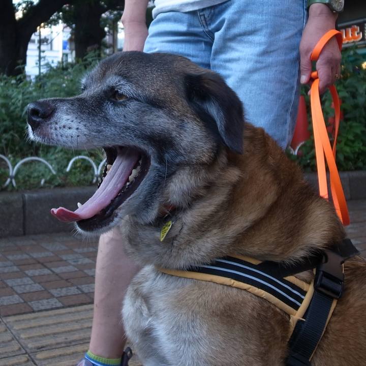 807026a4 aebf 445b b797 2ec4018e9561 1586824224053