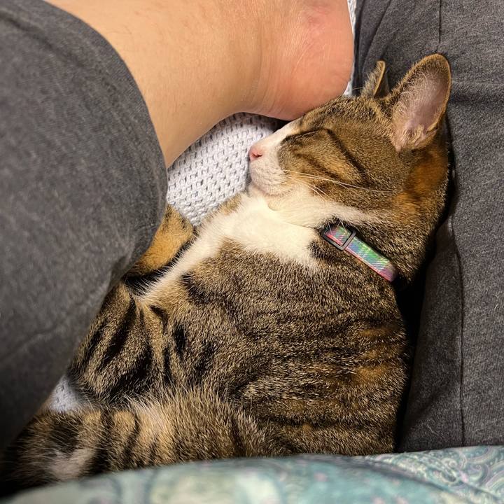 807027ac eb15 4156 bd8f eb8aa0dc89b9 1770675002385