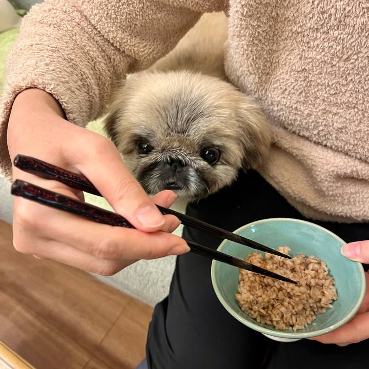 80703a91 1b72 45aa 9389 a764b5be1c99 1735460768152