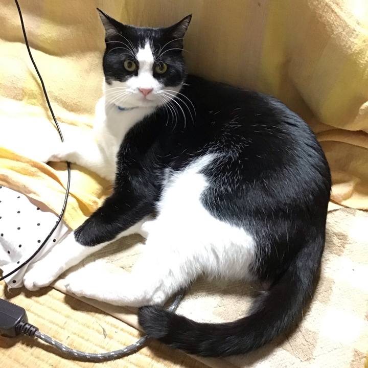 807065d5 bb7a 4489 953c 4d1b2fe13b34 1675775787780