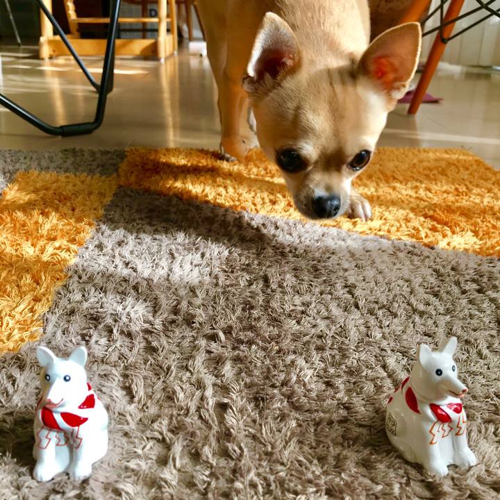 80707ad4 b34f 4d83 a4b1 99ba9db33f15 1515283447889