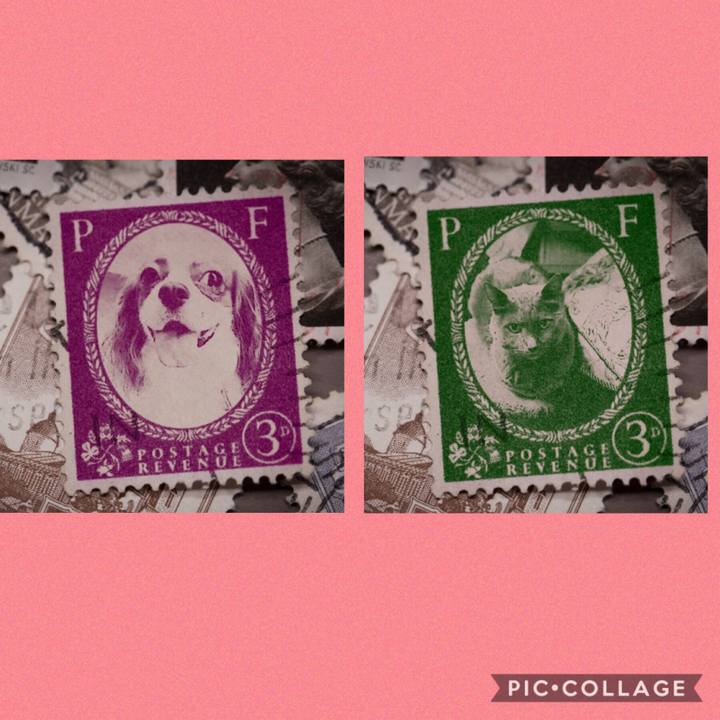 8070da9c 4297 4c05 97d4 e2afa58dcd62 1569945782787