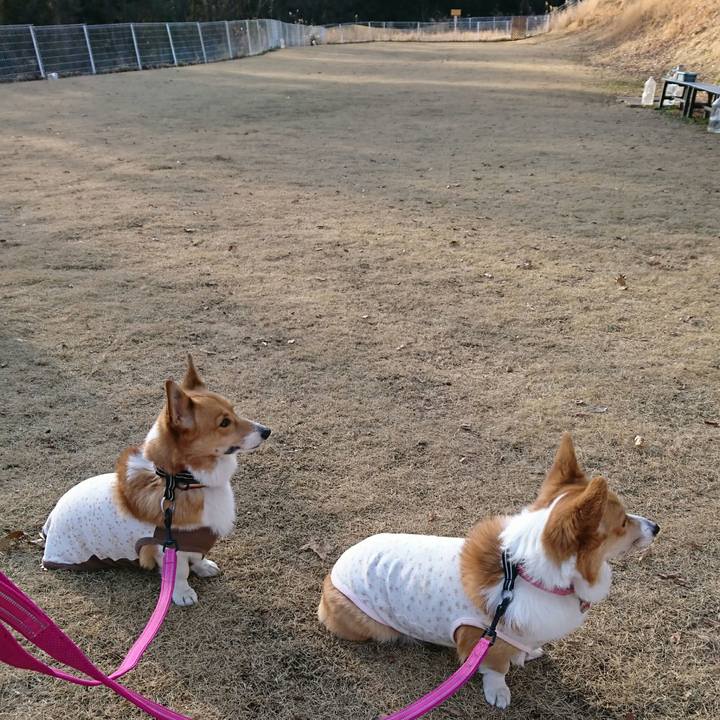 807166fd d123 4bc0 90e6 975397e278fc 1515303708078