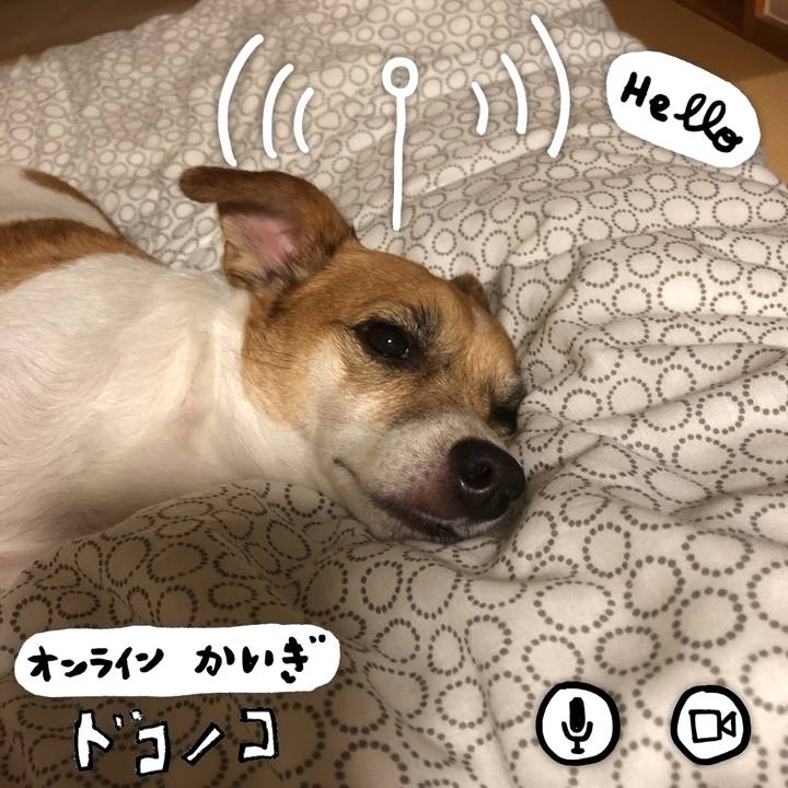 80716954 415f 4ae7 8aa4 b81b863c0a23 1590846507532