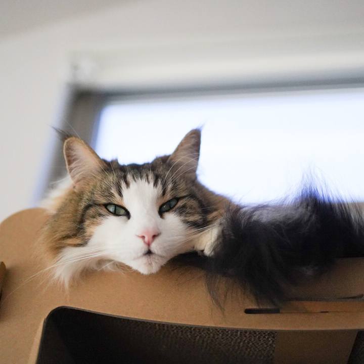 8071a663 f13b 47f1 a5ae edc3942aa17b 1582861205641