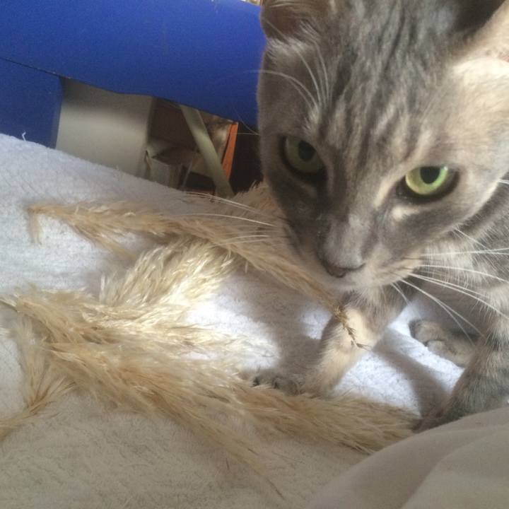 8071ea7d ec88 4532 8f10 8d2865624977 1536921065188