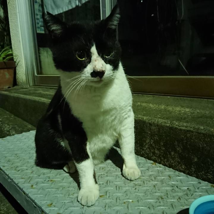 8071ee1e a94b 4317 a5e2 36ec1659a4dc 1533386564559