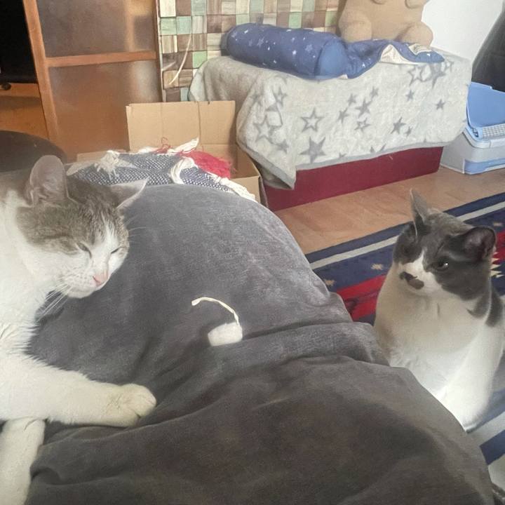 8071fd49 fdd2 4f2a b855 dd30c1516f8c 1627173357540