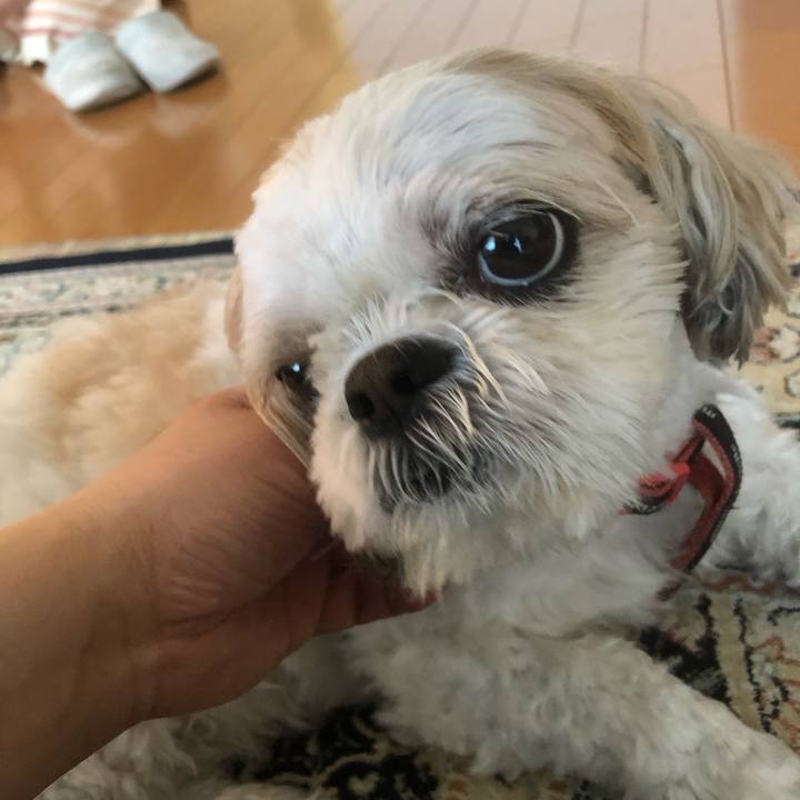 80720c22 ad22 444a af43 a4aed5be8cc2 1620011390333