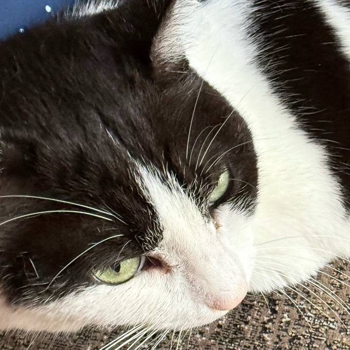 80720d51 0440 4c7c a1fb c601c7be43f0 1748053797049