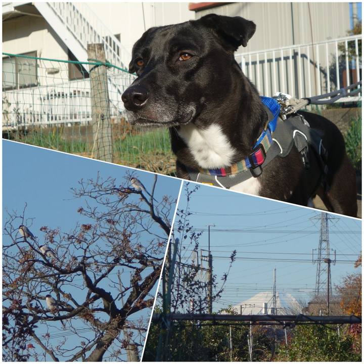 80723188 6c38 43a1 9793 0bea0dbefd03 1638579985213