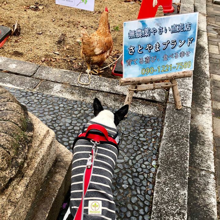 8072622b cfe7 47ad 847b a9c224b1ef30 1545471519135