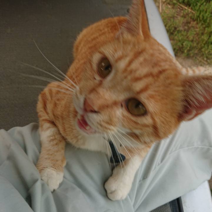 8072d084 46a3 4dba a826 8700ede5c72d 1564476967058