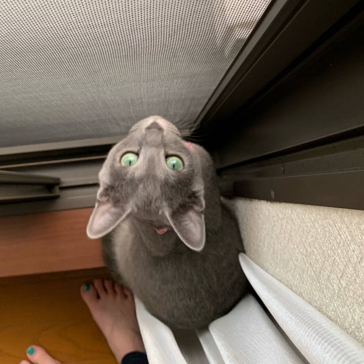 8072ef8f 1528 4d68 9304 09d34a12c680 1574995437490