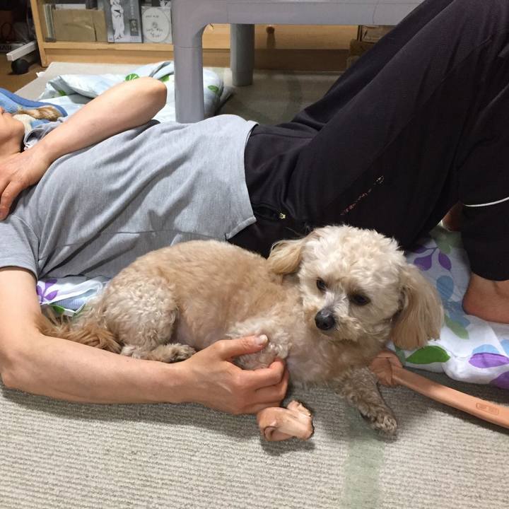 80730efe 09d3 4c86 a7f1 21b0cc1fabaa 1527335918198