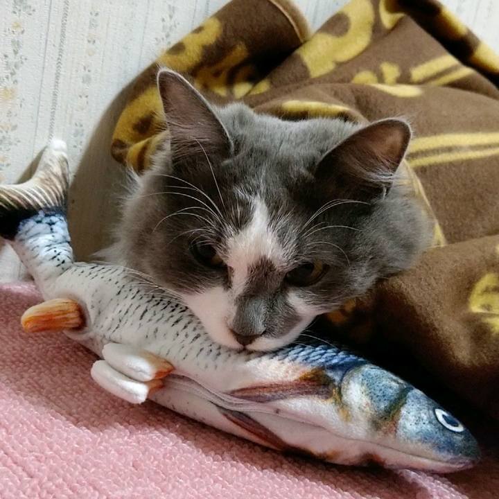 80732a07 fdb7 4774 87d0 1f77bc4e049c 1583531904297