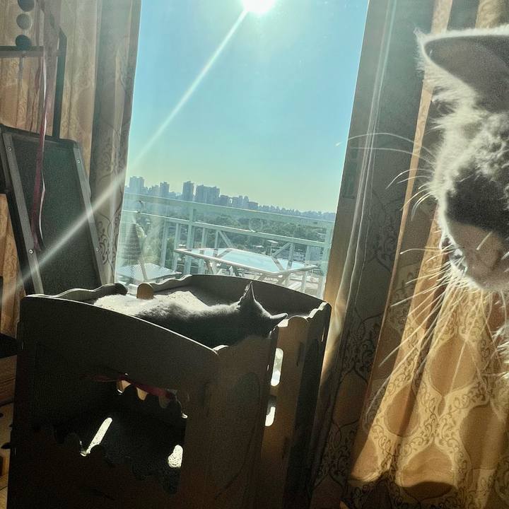 807386b0 b14b 47e8 8671 373f505f75af 1654072811745