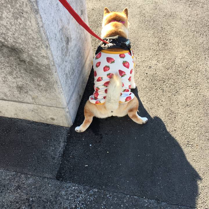 807396a9 fb7a 40c2 9039 587bf9aa4df6 1575786737747