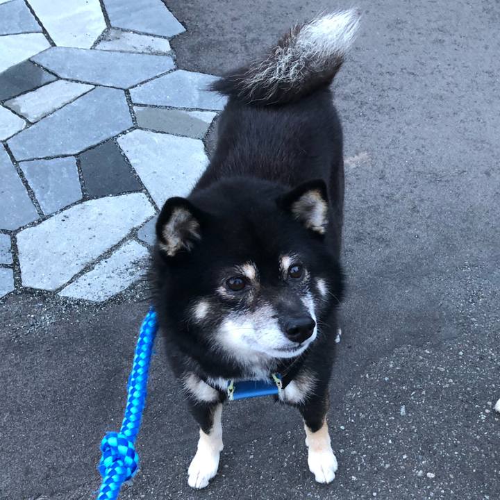 8073a6e5 4a56 4e81 a79d 0777b4777833 1600995030155