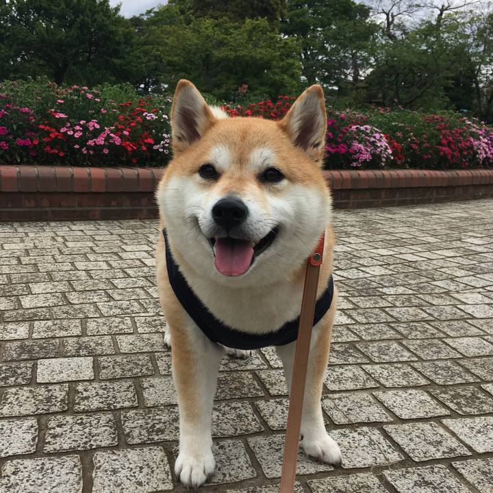 8073aaa4 887c 4a00 b1c9 48ea86a00e71 1556519420381