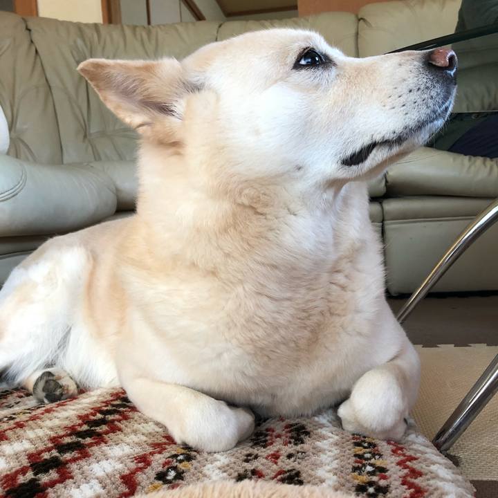 8073bf67 51b8 4e2f 842c 4fa0fa72b345 1542710374533