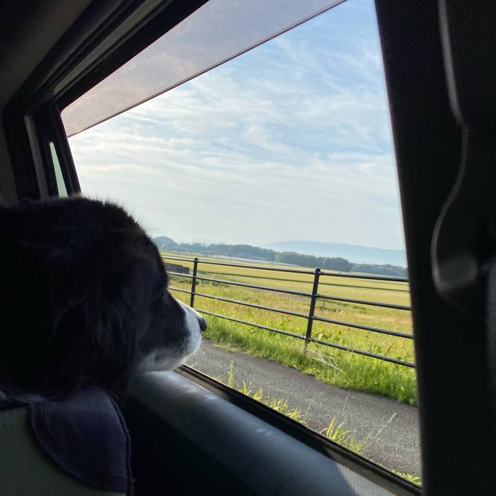 8073d91f fb2e 45f7 bc0f 024919acf628 1651442785712