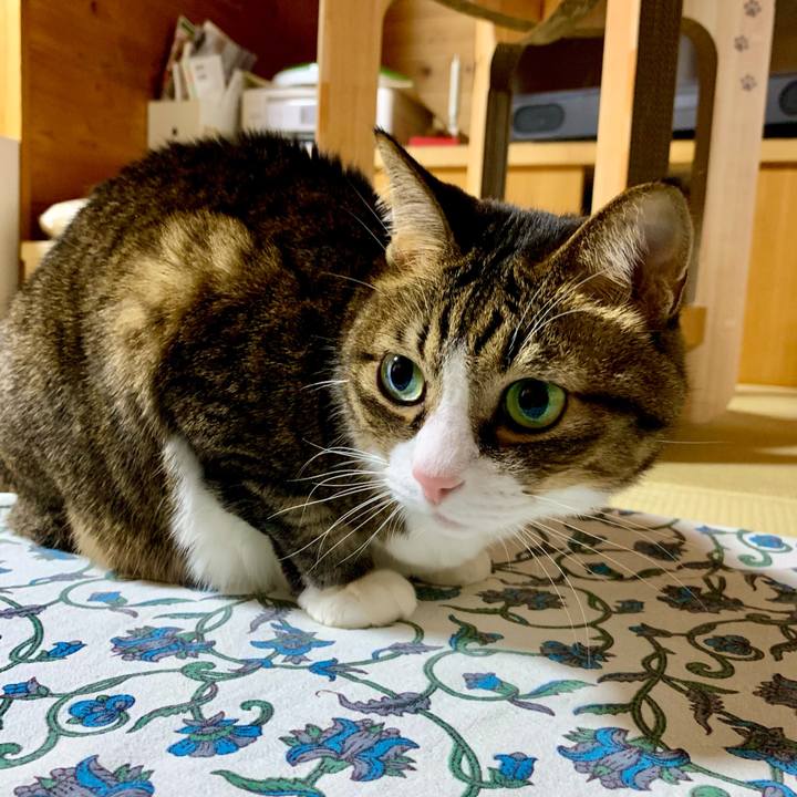 8074a0c1 929a 488e ab25 cc8960c61358 1638539957882