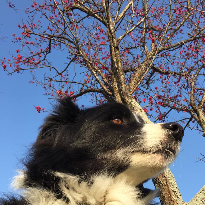 8074a8d6 98fc 4fbc 9444 e8f01896fdf1 1548289094867