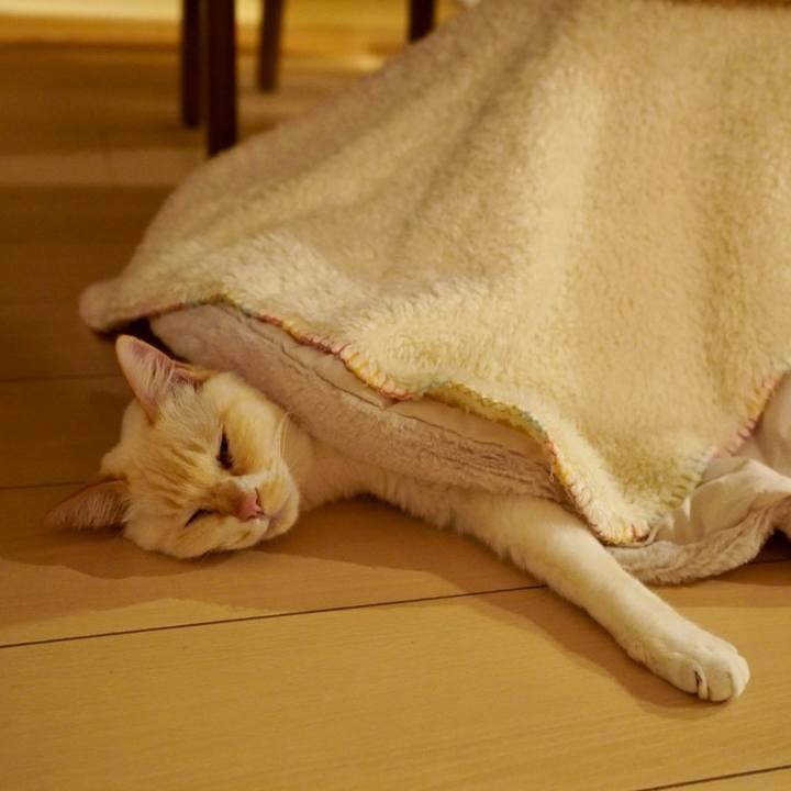 8074a933 c119 4d08 b85a 08364d17e6e4 1766578382694