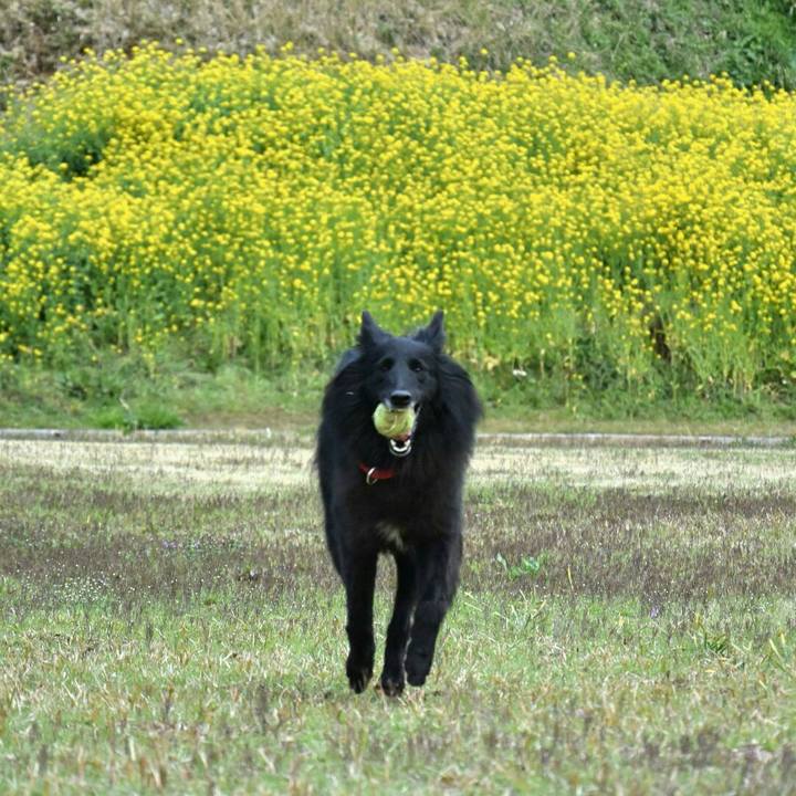 8074e542 9ed4 4faf 8c21 c384556a9a9d 1521878764211