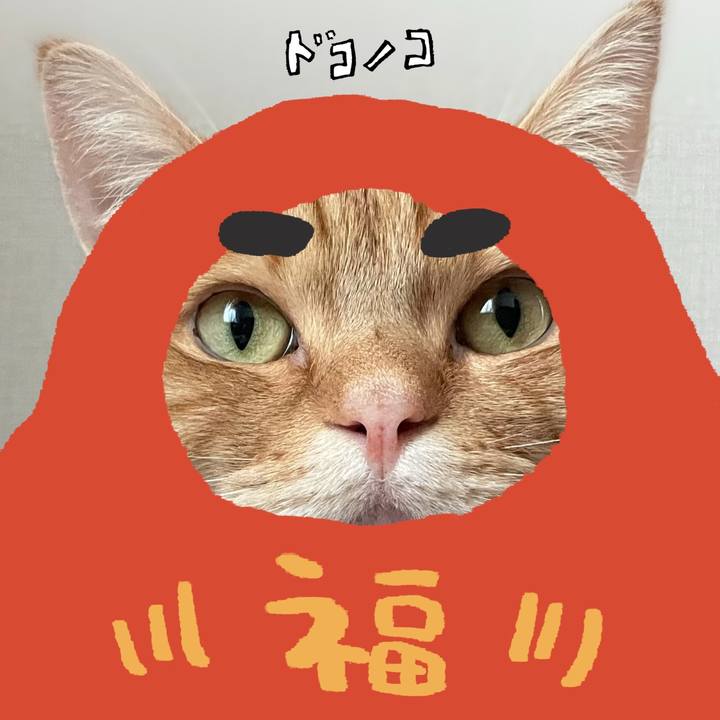 8074f97f d93e 43cd 9967 276a52030464 1772059567705