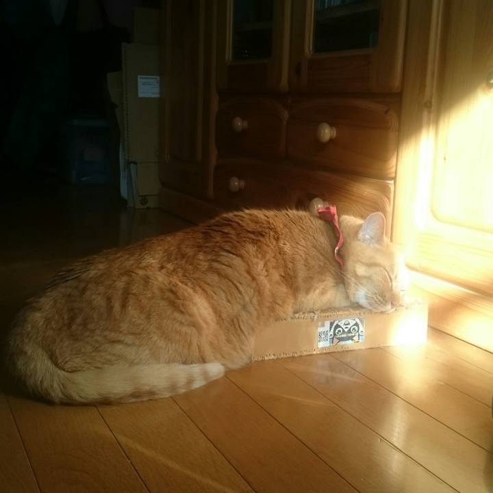 80750033 57e3 4fba 901f ec2d1b47b6de 1513744380523