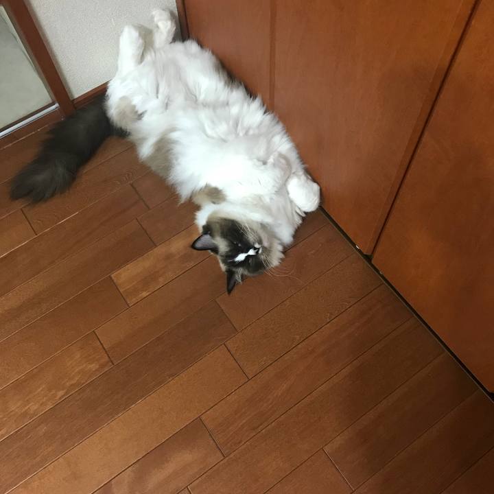 80752628 989d 4053 a7df b181d1363f7f 1535981436793