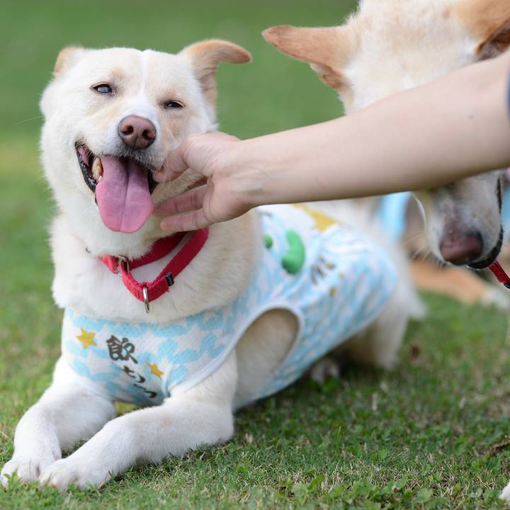 80752f7d 67d8 40cf 8683 66a22cc18942 1530187274639