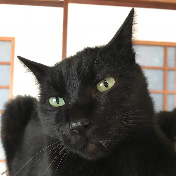 80753843 708d 43d5 ae43 821640996e55 1520645876681