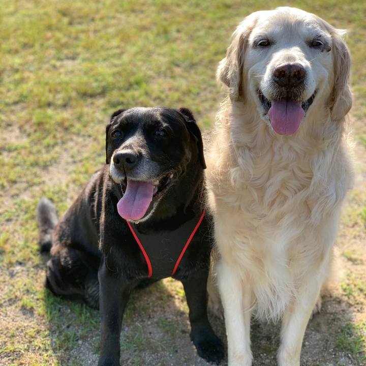 80758e59 e41a 4b6d b4a4 e9295ef9bd2f 1558742596526