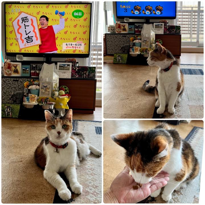 807595a7 7b98 451d a89c 5371c6a92cc7 1687126571703