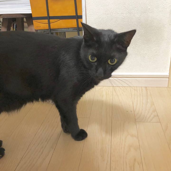 80759ab4 79e6 4c76 937a fb953a62a012 1595595119973