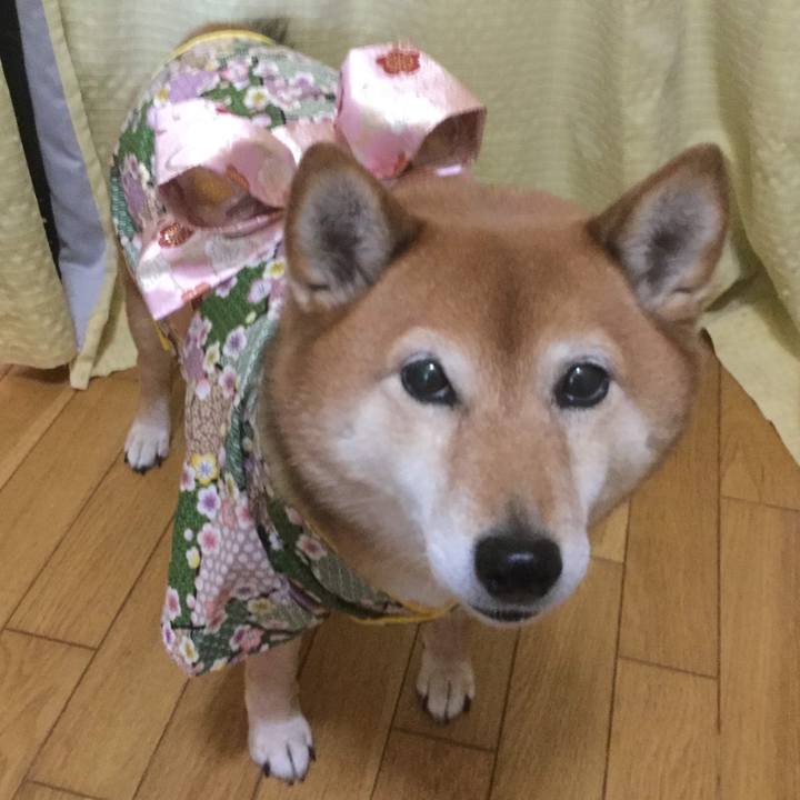 8075d16b c8ac 41d9 be8c cff6566ba0f2 1571896167631