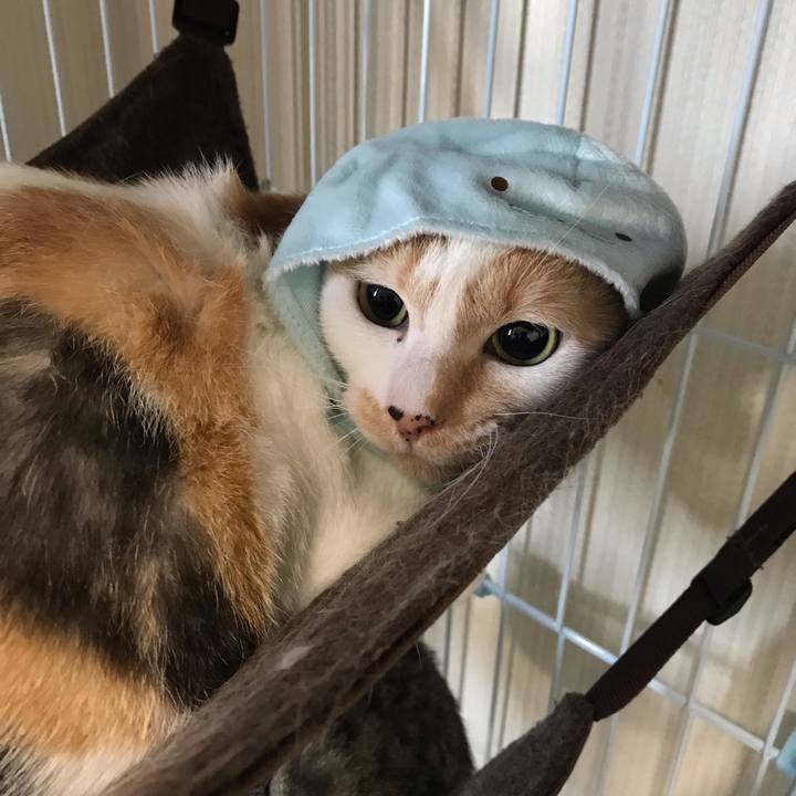 8075ef23 90f2 4cf9 9a53 6bde6267d9f8 1554994946203