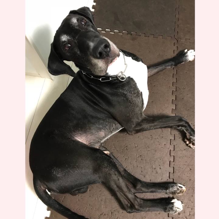 8076117c 8645 40e4 bf8c 9c0ffc5ad7f0 1535064296514