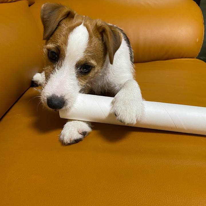 807612c9 ee80 4faf 8002 482b927baa9d 1617107871618