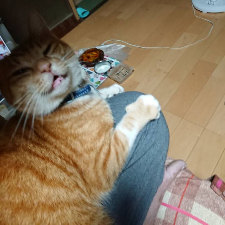 80761786 1704 4203 b4df f5411ece4ebe 1601066640906